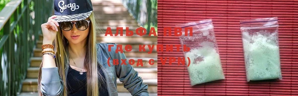 трава Магас