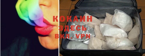 шишки Магадан