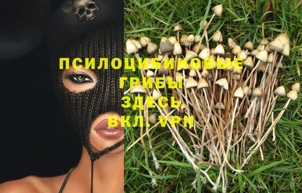 a pvp Мегион