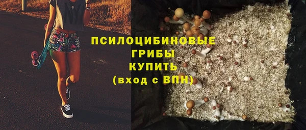 скорость Медвежьегорск