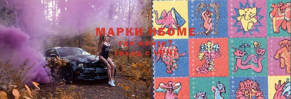 трава Магас