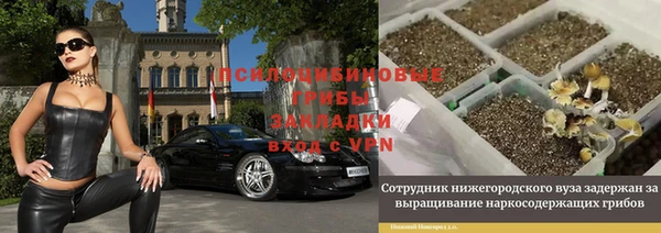 ECSTASY Медногорск